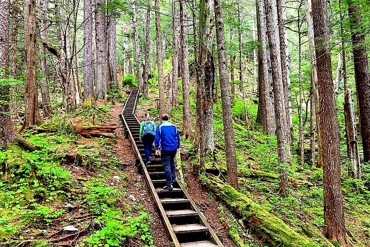 Guided Hike | TONGASS NATIONAL FOREST - Photo 1 of 12